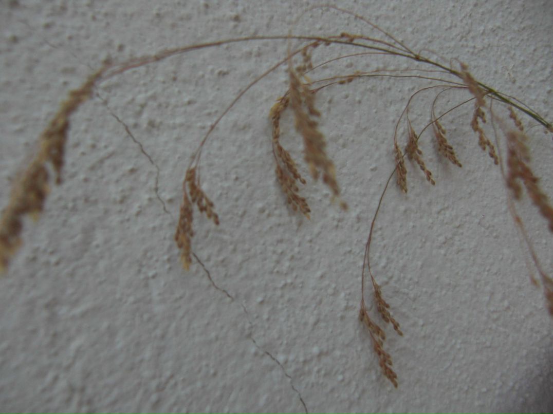 Анна Архипова | Москва