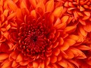Фотография Костиной Алины