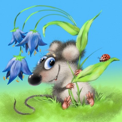 Михаил Ажойчик | Санкт-Петербург