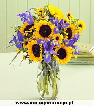 Елена Степанова | Воскресенск