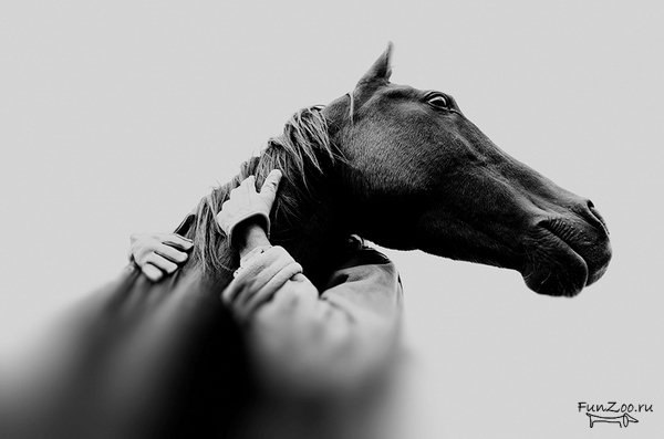 Юлия Бутко | Полтава