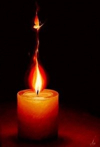 Богдан Гордієнко | Киев