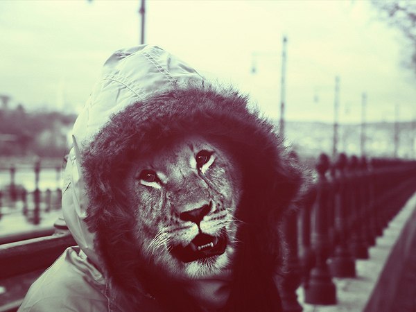 Миха Андрияш | Киев