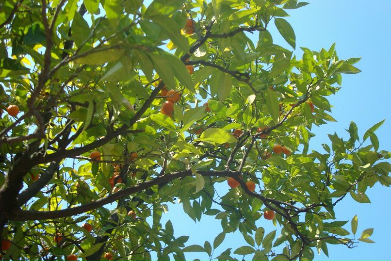 Наталья Капшук | Москва