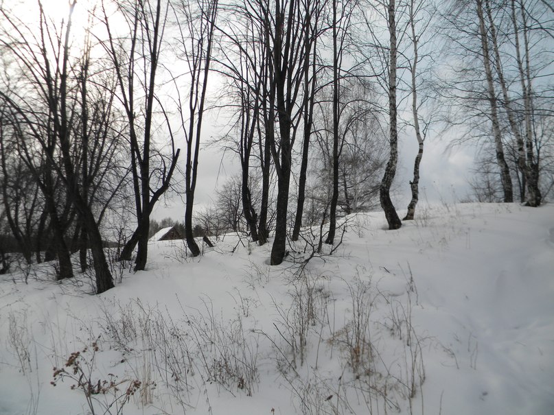 Елена Мочалова | 