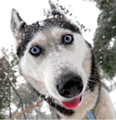 Сергей Загоруйко | Донецк