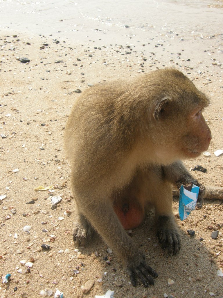 Алина Лапшина | Москва