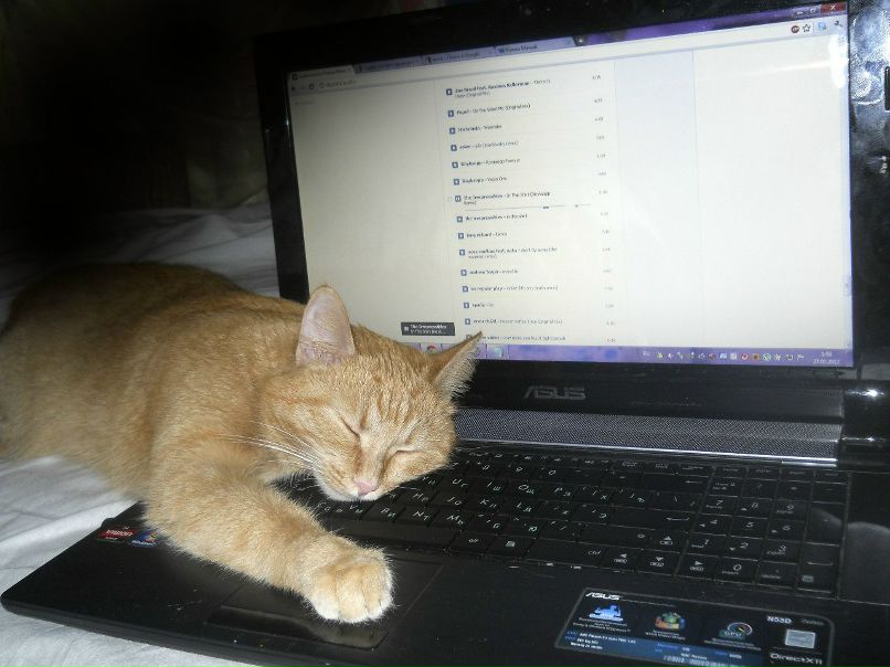 Роман Мамай | Омск