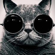 Дзмитрий Линкин | Киев