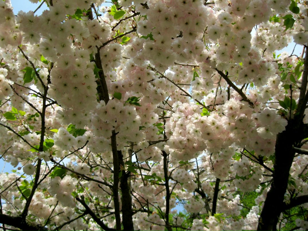Алёна Старцева | Санкт-Петербург