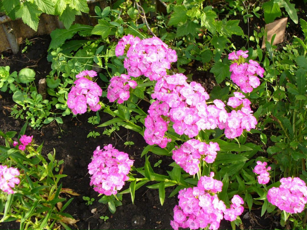 Тамара Логинова | Салават