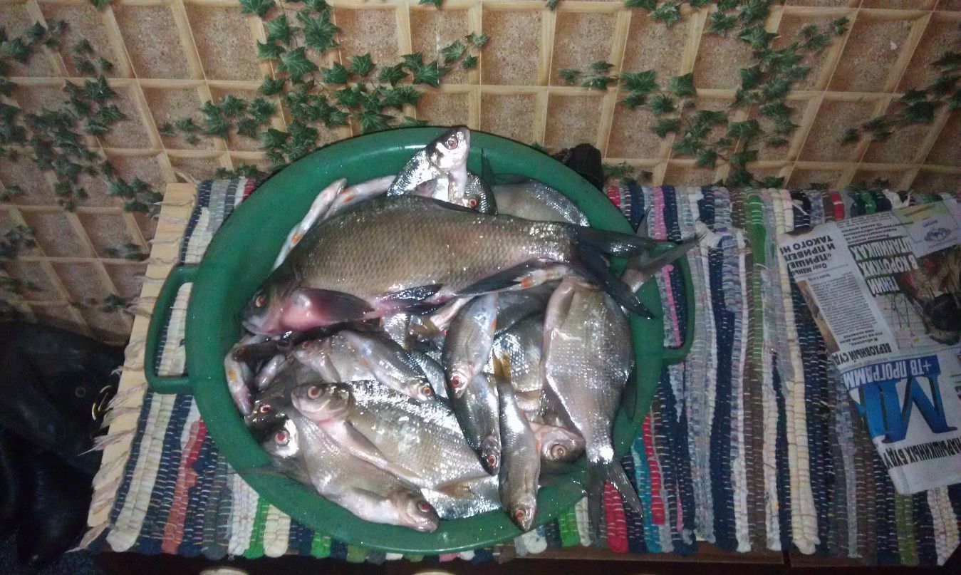 Вячеслав Баранов | Москва