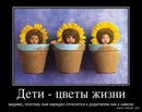 №37 George Kis