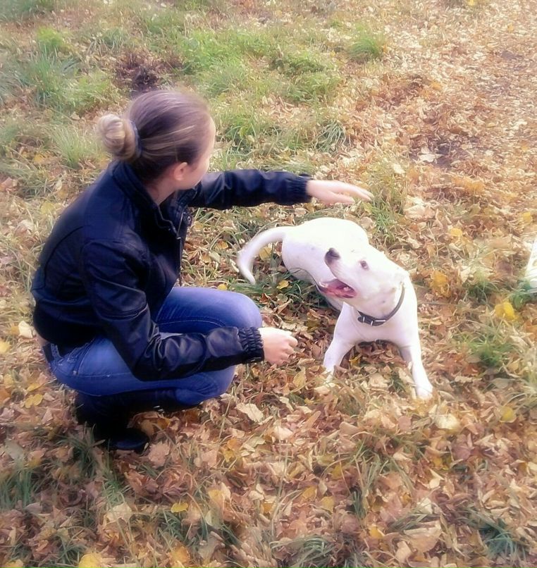 Маришка Толстунова ·٠•●๑БЕЛКА๑●•٠· | Славутич