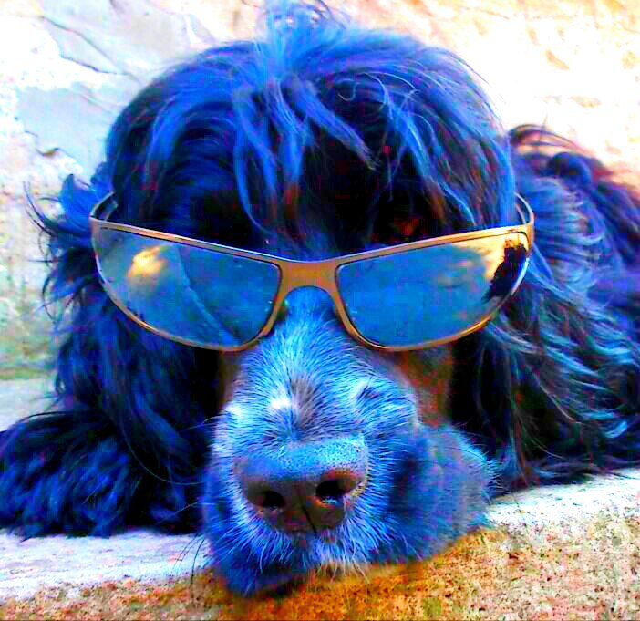 Евгений Виер | Измаил