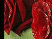 Анюта Ясиненко | Смела