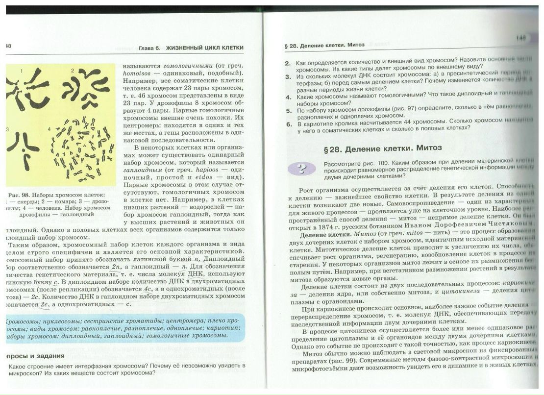 Юлия Стунеева | Москва