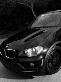 Сергій Пришва | Кропивницкий / Кировоград