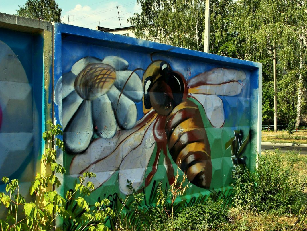 Надежда Ильина | Москва