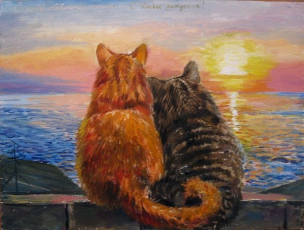 Екатерина Ильина | Санкт-Петербург