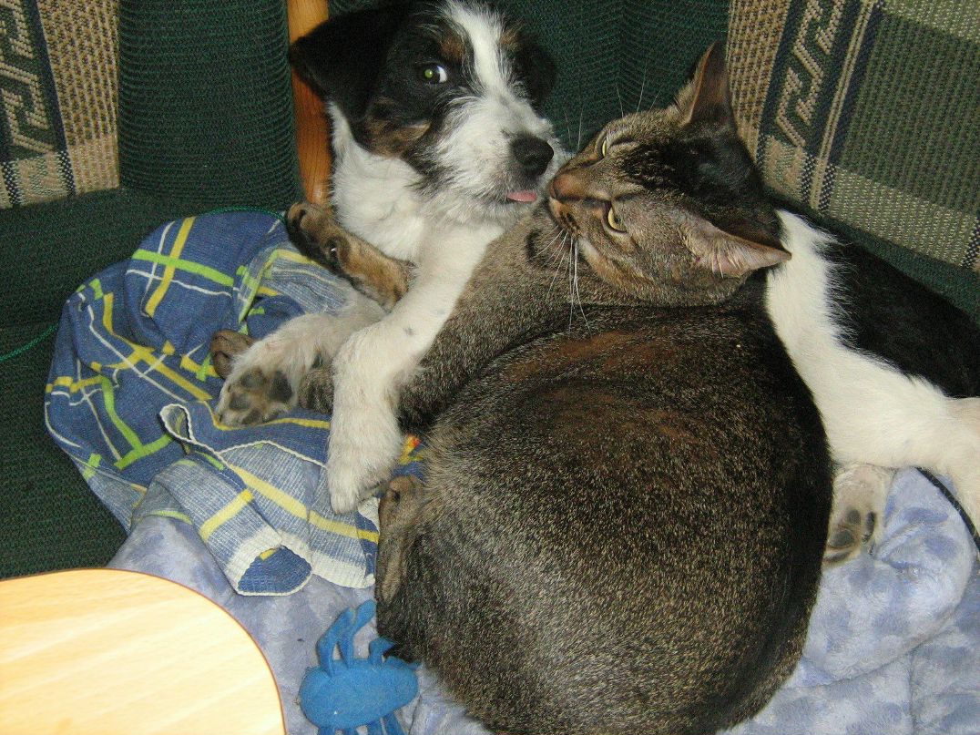 Наталья Иванова Васильевна | Санкт-Петербург