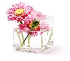 Наталья Лутченко Николаевна | Тайцы