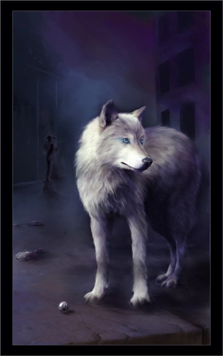 Ігор Майструк | Ровно