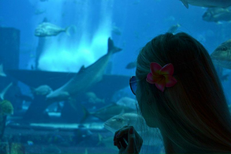 Natalia Salina good girl gone bad | Paris