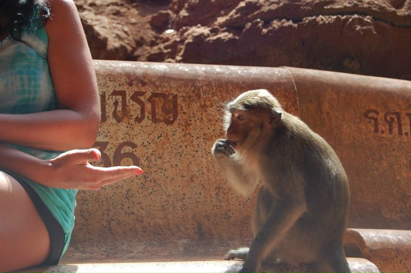 Лао Цзы | Санкт-Петербург
