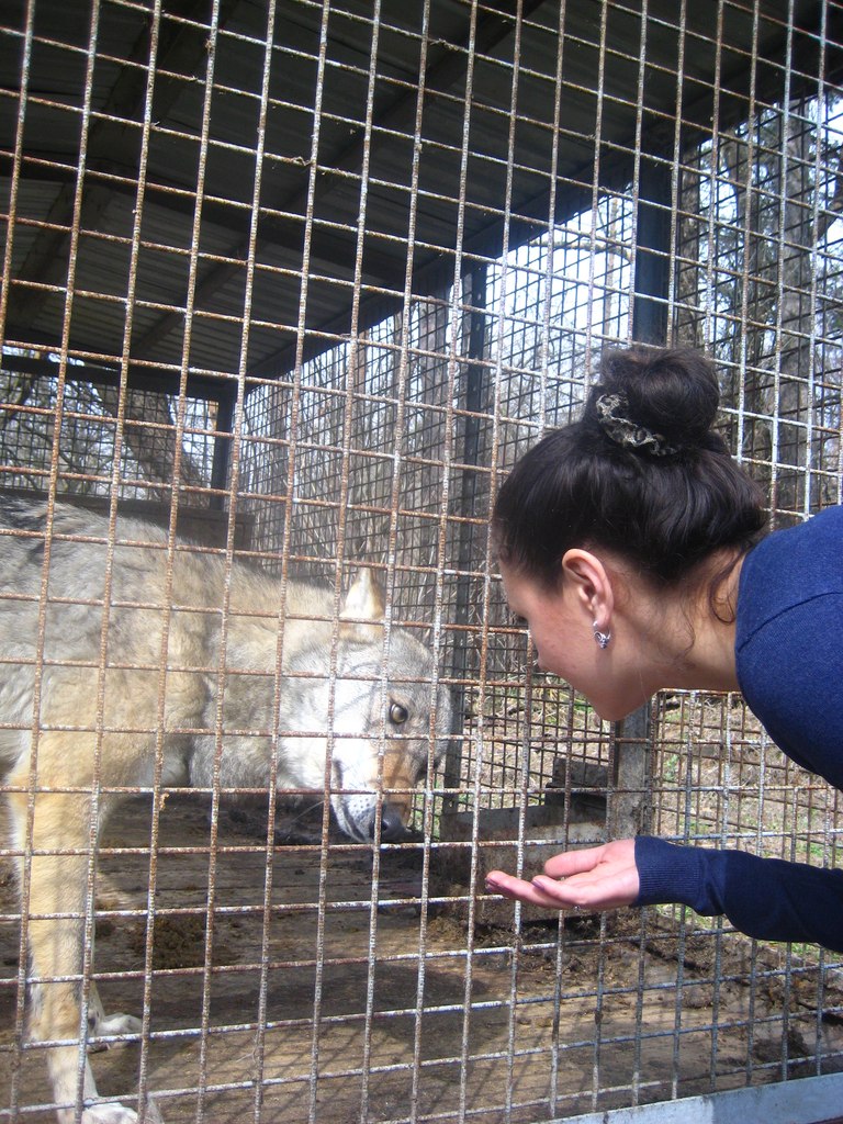 Надежда Полтавцева | Воронеж