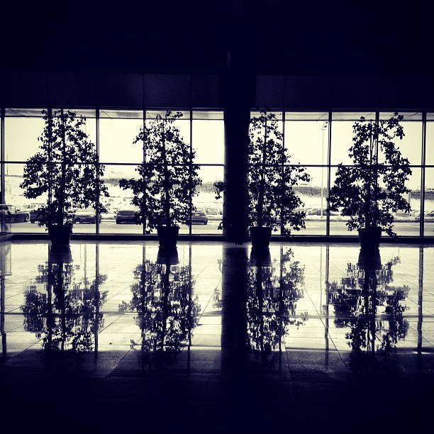 Павел Мартюков infinitum | Москва