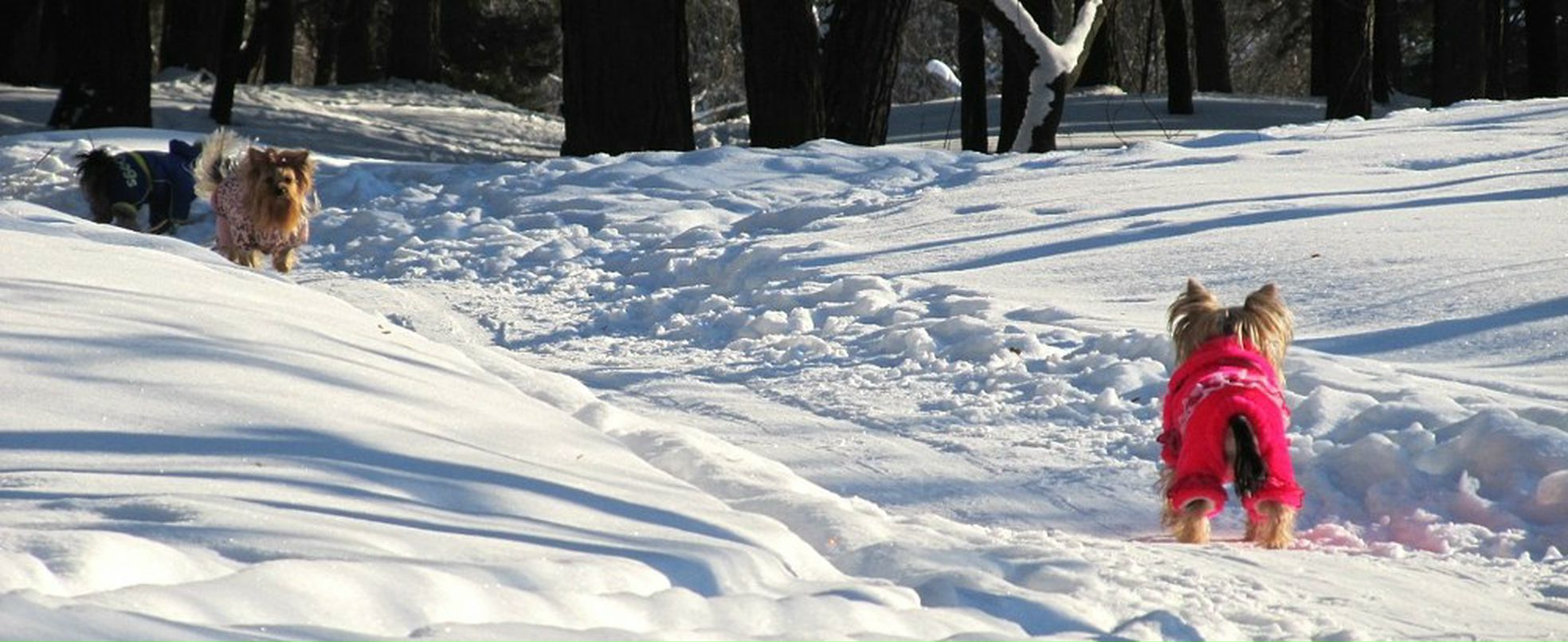 Костя Щербинский | Минск