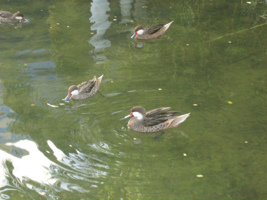 Виктория Угрюмова | Москва