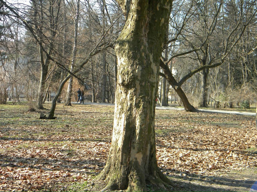 Тарас Грицько | Львов