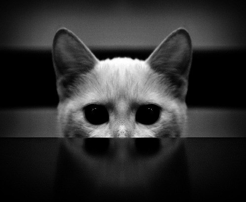 Like Other No | Киев