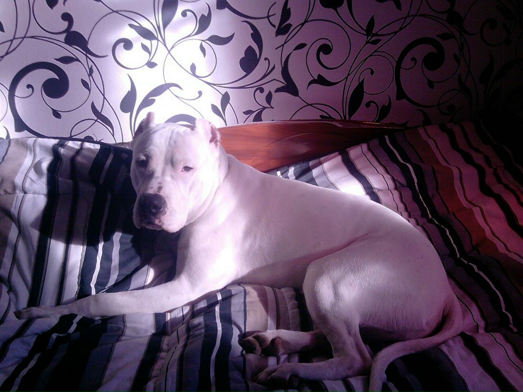 Валентина Мандебура Викторовна | Вороное