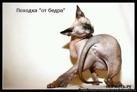 №57, Виталик Левин №57, Виталик Левин