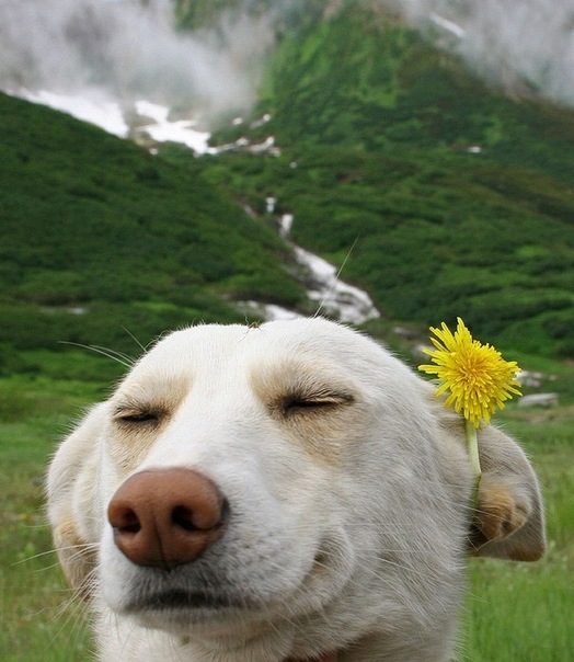 №112, Ирина Пахомова, 42 года, Нижний Новгород, Россия №112, Ирина Пахомова, 42 года, Нижний Новгород, Россия