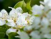 Ксения Ломовцева | Тольятти