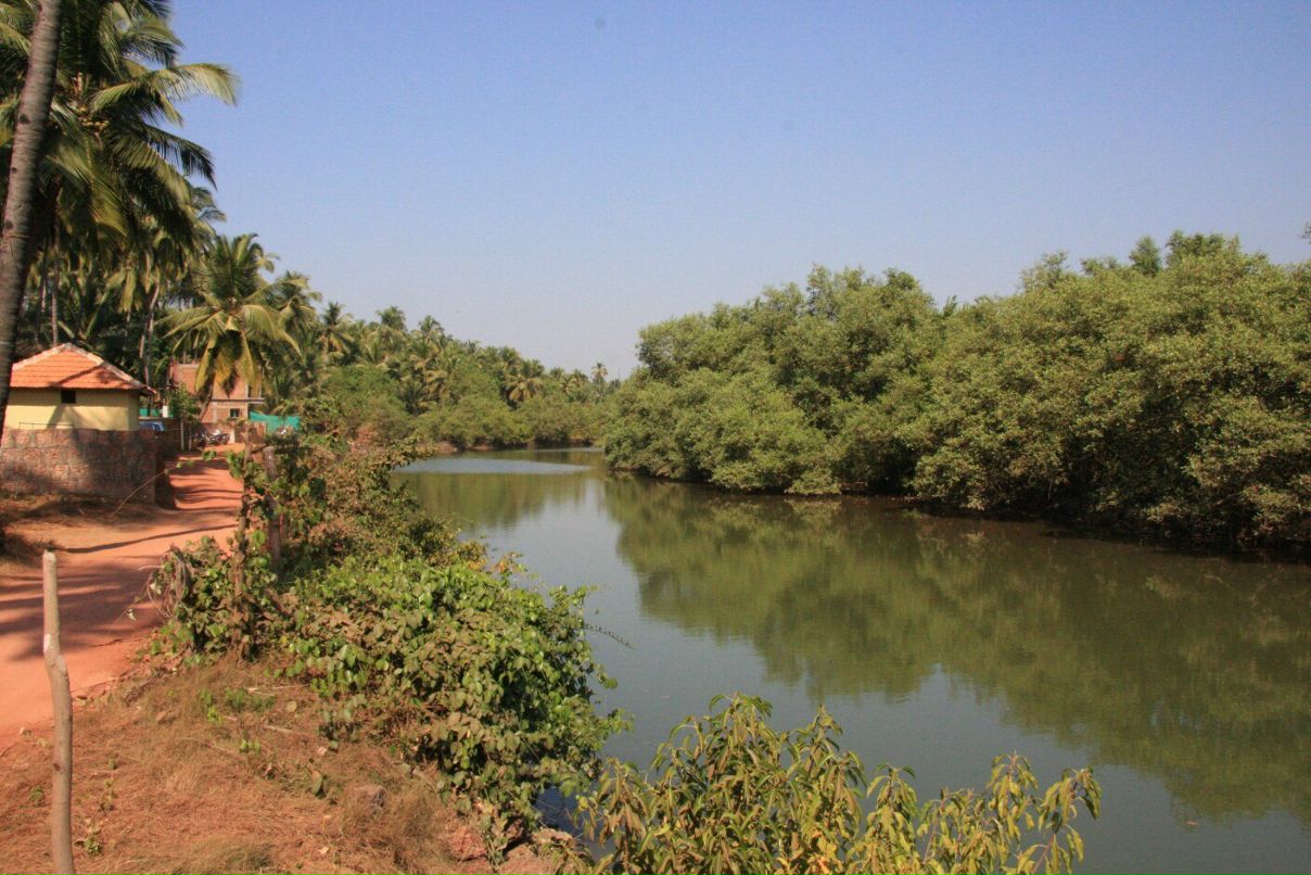 Анастасия Кузнецова | Москва