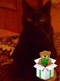 Виталий ))) | 