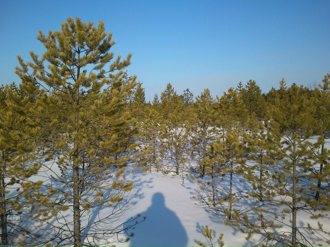 Александр Бугуртов | Стрежевой