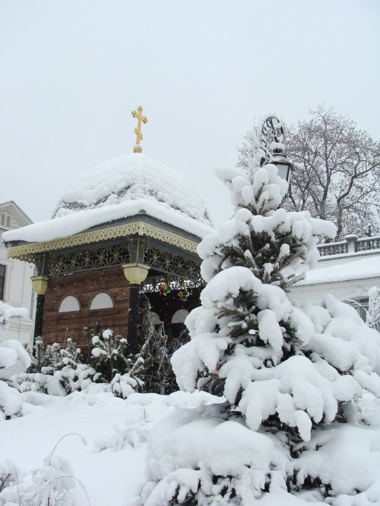 Юлия Кушнир | Киев