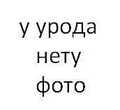 Алёна Соломатина | Коломна
