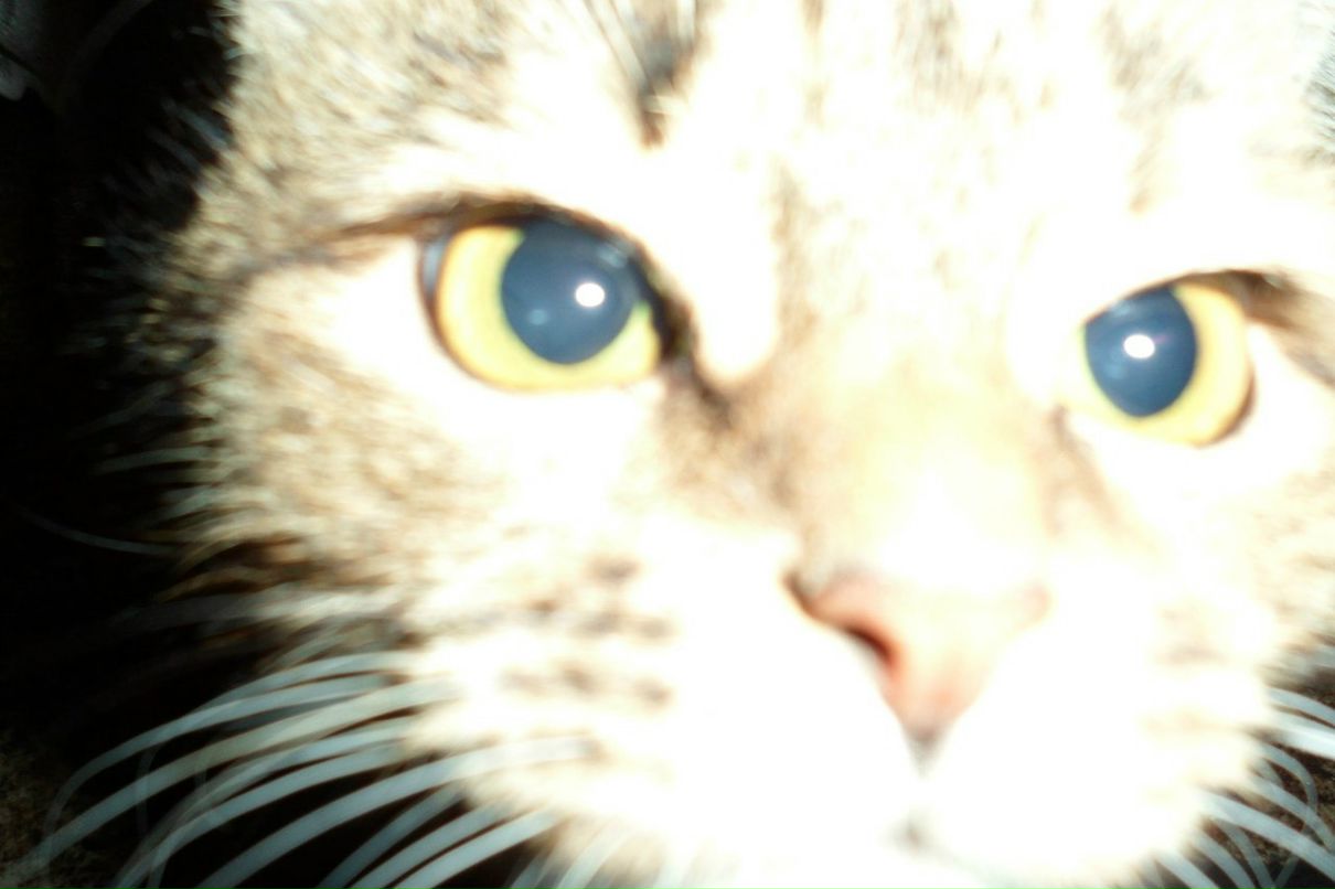 Светлана Горелова | Борисоглебск