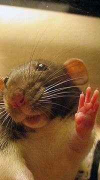 Ильнур Бадртдинов | Лениногорск