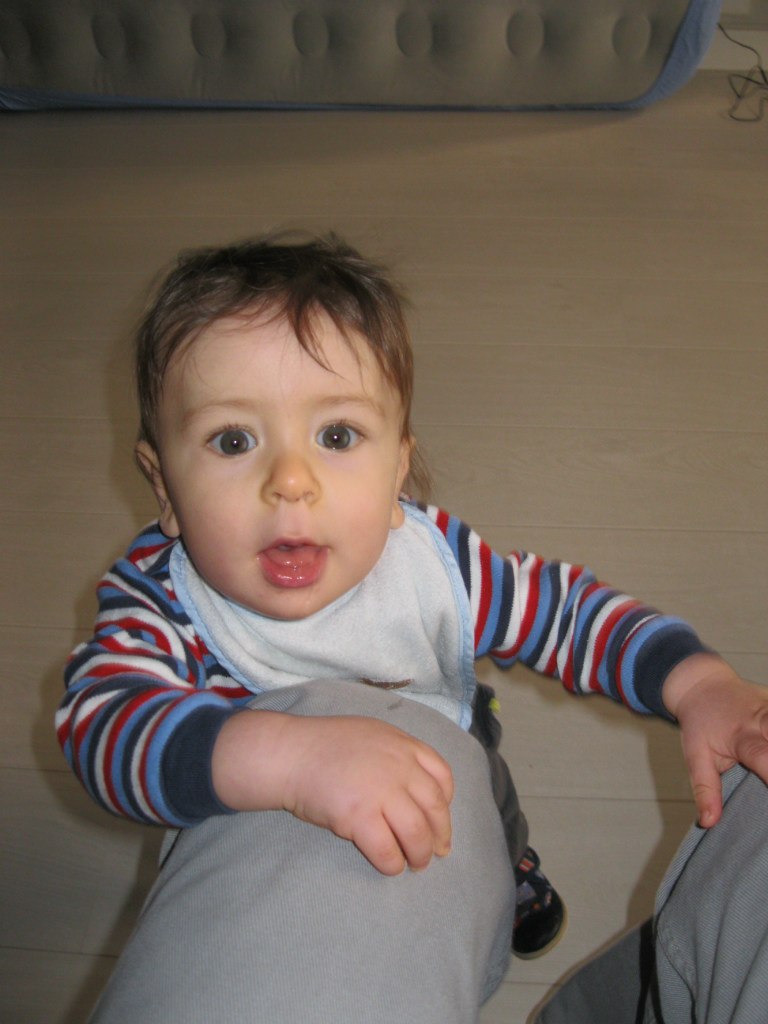 Яна Полак | Beograd