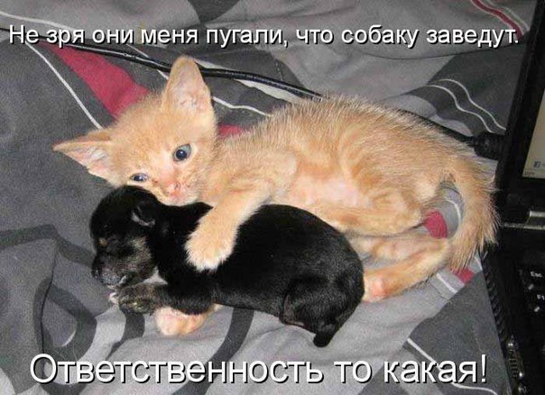 Олег Антипин | 