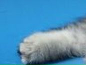 Валентина Лозаренко | Москва