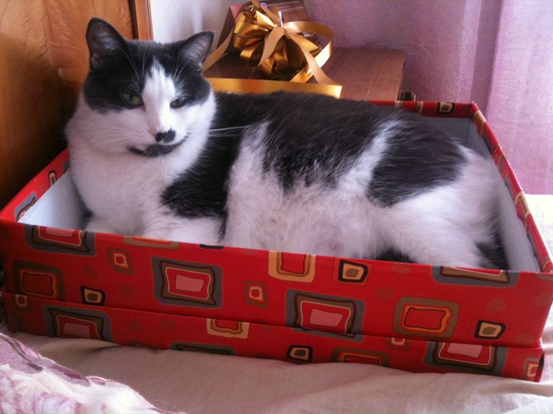 Аня Пилипович | Киев